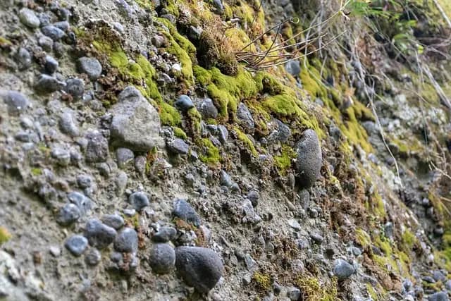 1st Attorneys Solid Minerals